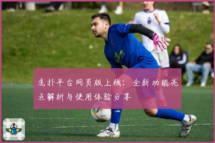 虎扑平台网页版上线：全新功能亮点解析与使用体验分享