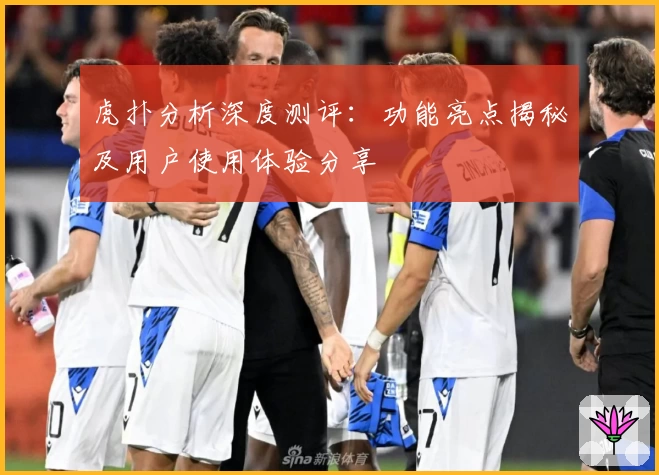 虎扑分析深度测评：功能亮点揭秘及用户使用体验分享