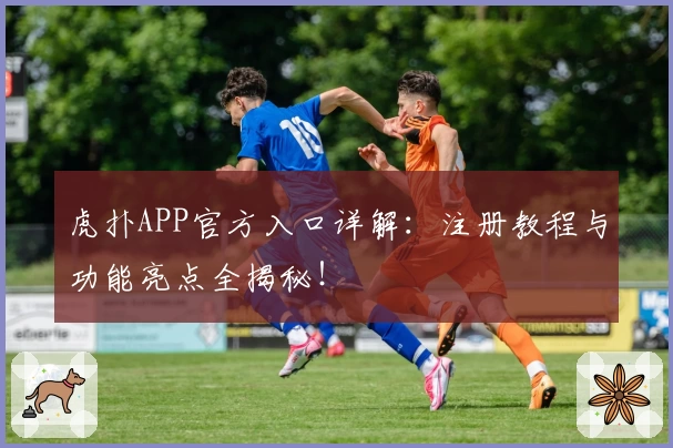 虎扑APP官方入口详解：注册教程与功能亮点全揭秘！