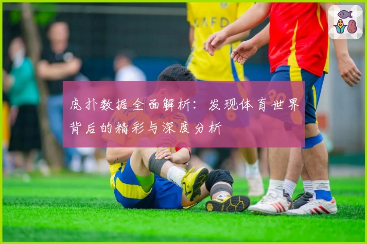 虎扑数据全面解析：发现体育世界背后的精彩与深度分析