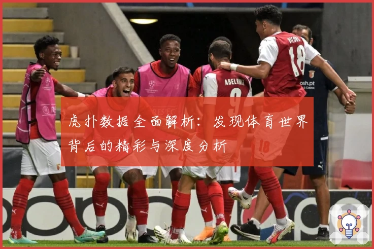 虎扑数据全面解析：发现体育世界背后的精彩与深度分析