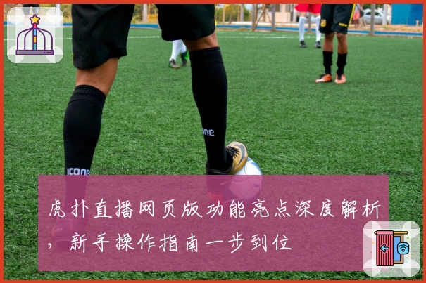 虎扑直播网页版功能亮点深度解析，新手操作指南一步到位